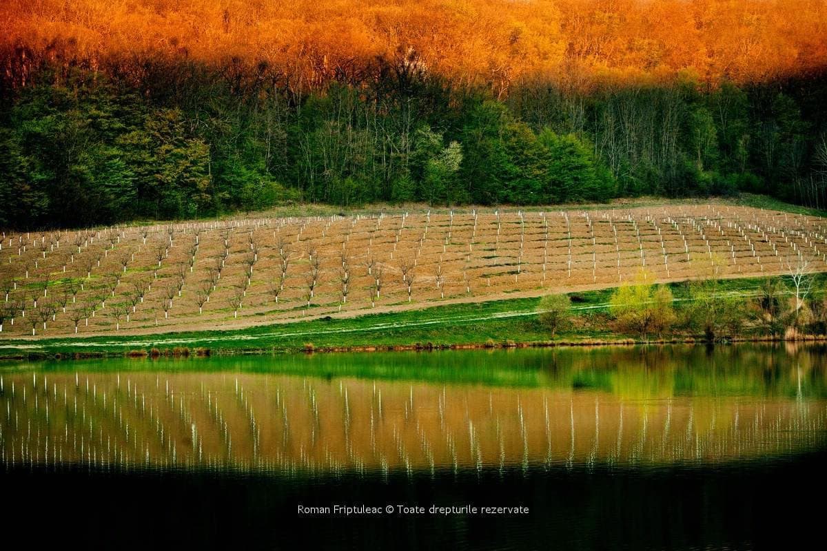Descubre el otoño 2024 en Moldavia
